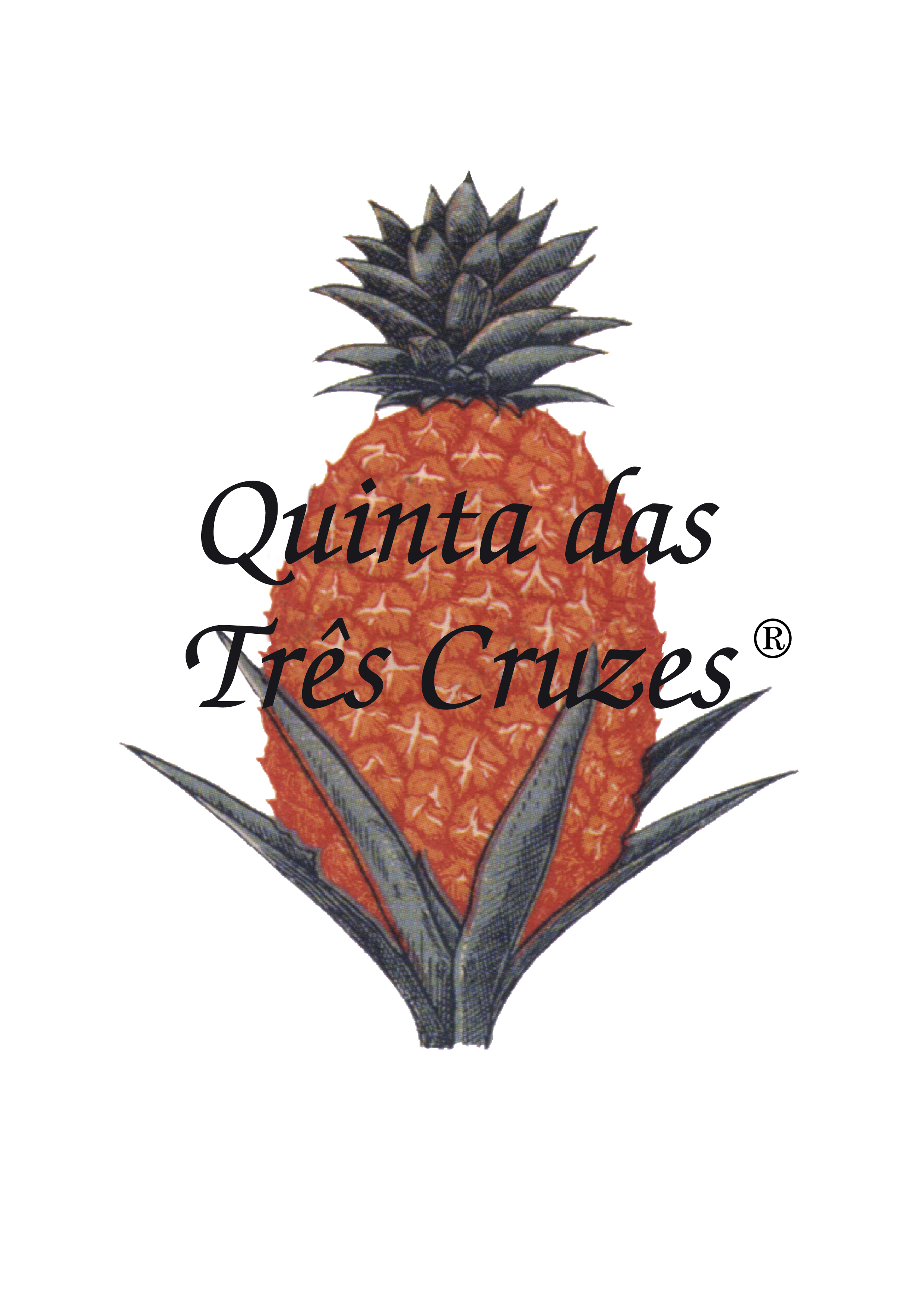 MARTA TOMÉ & FILHAS, LDA.