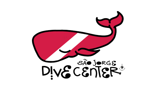 PEDRO SILVEIRA SOARES